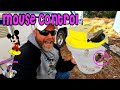 How to REALLY Keep Mice Out - Best Mouse &amp; Rat Traps &amp; Deterrent