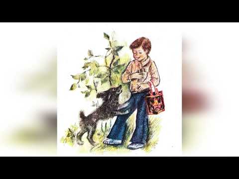 Обіцянка. Пилип Бабанський. Аудіокнига (слухати)