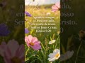 #GRATIDÃO SENHOR #JESUS NOSSO SENHOR #DEUS MARAVILHOSO #OBRIGADA DEUS #music FERNANDINHO