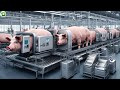 Amazing Pig Slaughterhouse Modern Pig Processing Machine Using Advanced Technology Pigs 
