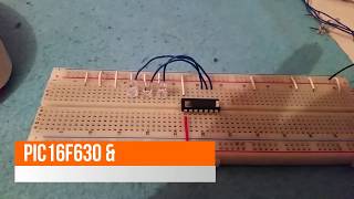 PIC16F630 & TIMR1 with Simulation