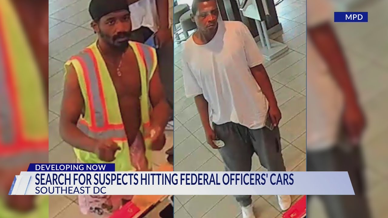 Police searching for suspects hitting federal officers' cars - YouTube