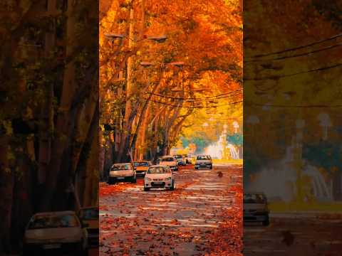 ریمیکس امید سرتو بزار رو شونه هام موسیقی  آهنگ ریمیکس پادکست موزیک فارسی