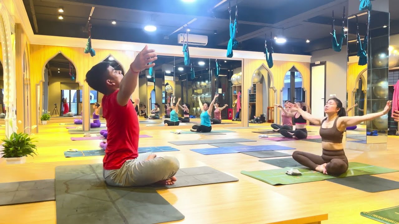 Dòng chảy Hatha || Hatha Flow || Trình độ cơ bản đến trung cấp || Basic to intermediate level