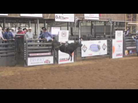 2010 FUTURITY BULL 511B DUMP N CHASE