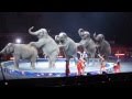 Ringling brothers circus  cruelty to elephants  sept 1 2014