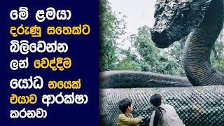  Big ස්නේක් 3 : Movie Review Sinhala | Movie Explanation Sinhala | Sinhala Movie Review