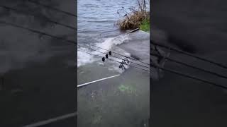 Trakker tempest in the floods