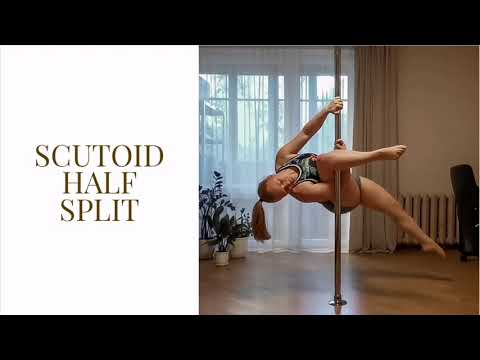 SCUTOID half split