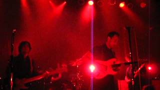 Video thumbnail of "Albert Hammond Jr. - Everyone Gets a Star"