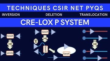 Cre Lox P Recombination System| Cre Lox P| Cre recombinase| CSIR NET PYQs