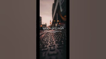 قَدْ خَسِرَ الَّذِينَ كَذَّبُوا بِلِقَاءِ اللَّهِ ۖ| #quran #قرآن #تلاوات #تلاوة_خاشعة #محمد_ايوب