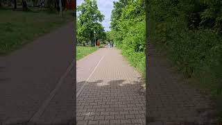 Green color is back after winter in Berlin Germany