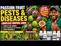 Passion fruit farming in Uganda ( Okulima obutunda )
