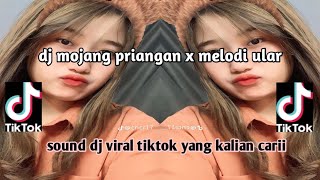Download lagu DJ MOJANG PRIANGAN X MELODI ULAR YANG LAGI VIRAL TIKTOK TERBARU