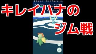 【ポケモンGO実況】　キレイハナのジム戦！！