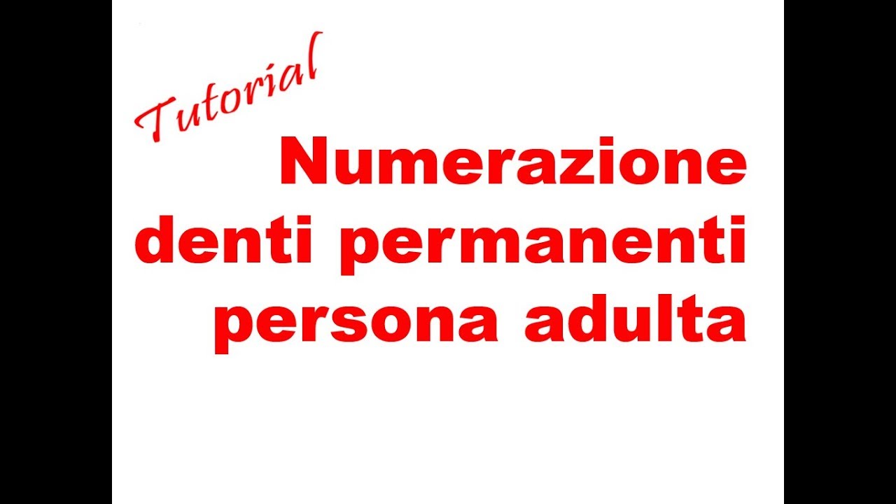 METASALUTE tutorial numerazione denti adulto permanenti