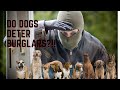 DO DOGS DETER BURGLARS?!!!