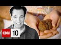 Truffle Discovery and Culinary Insights