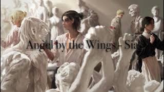 Angel By the Wings - Sia (TikTok Version)