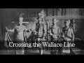 Crossing the Wallace Line - languages, genes and a forgotten history