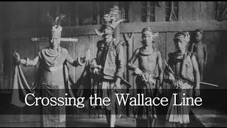 Crossing the Wallace Line - languages, genes and a forgotten history