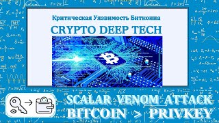 Scalar Venom Attack Hsm Vulnerability Enables Bitcoin Private Key Recovery Via Buffer Overflow