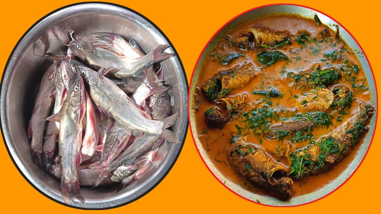 টেংরা মাছের লোভনীয় রেসিপি(tengra fish recipe)