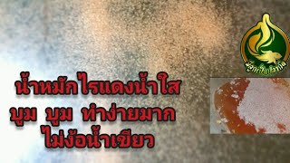 อาหารไรแดงน้ำใส บูม บูม ไม่ง้อน้ำเขียว คลิป 2/2