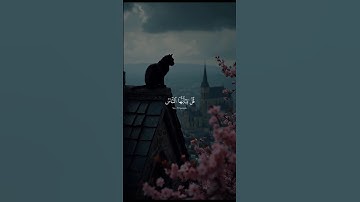 تلاوه خاشعه 🎧😌 #تلاوة_خاشعة #اكسبلور #المصحف #قران_كريم #حالات_واتس
