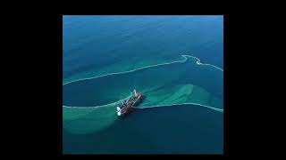 Full Linkhttps:youtu.be/6Oz6Dos6Zp0?Feature=Shared Resimi