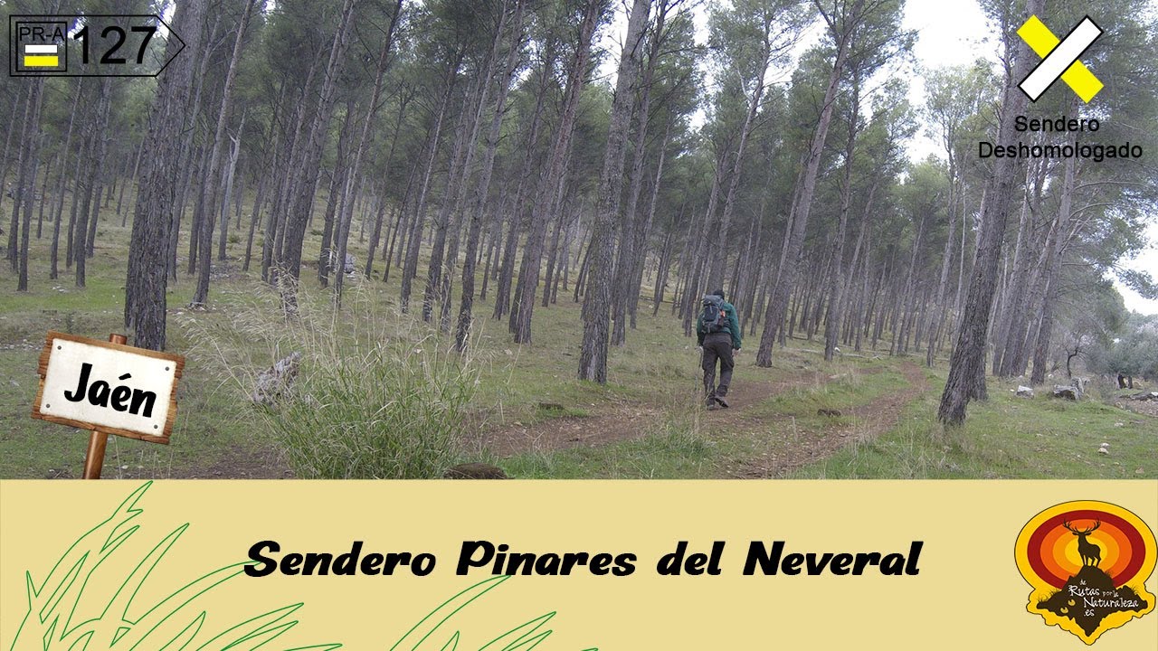 Foto de Inicio Sendero PR-CR 92 Sendero de los Pinares
