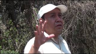 Trecsa Construye Ilegalmente Proyecto Pet 1-2009 En Sumpango