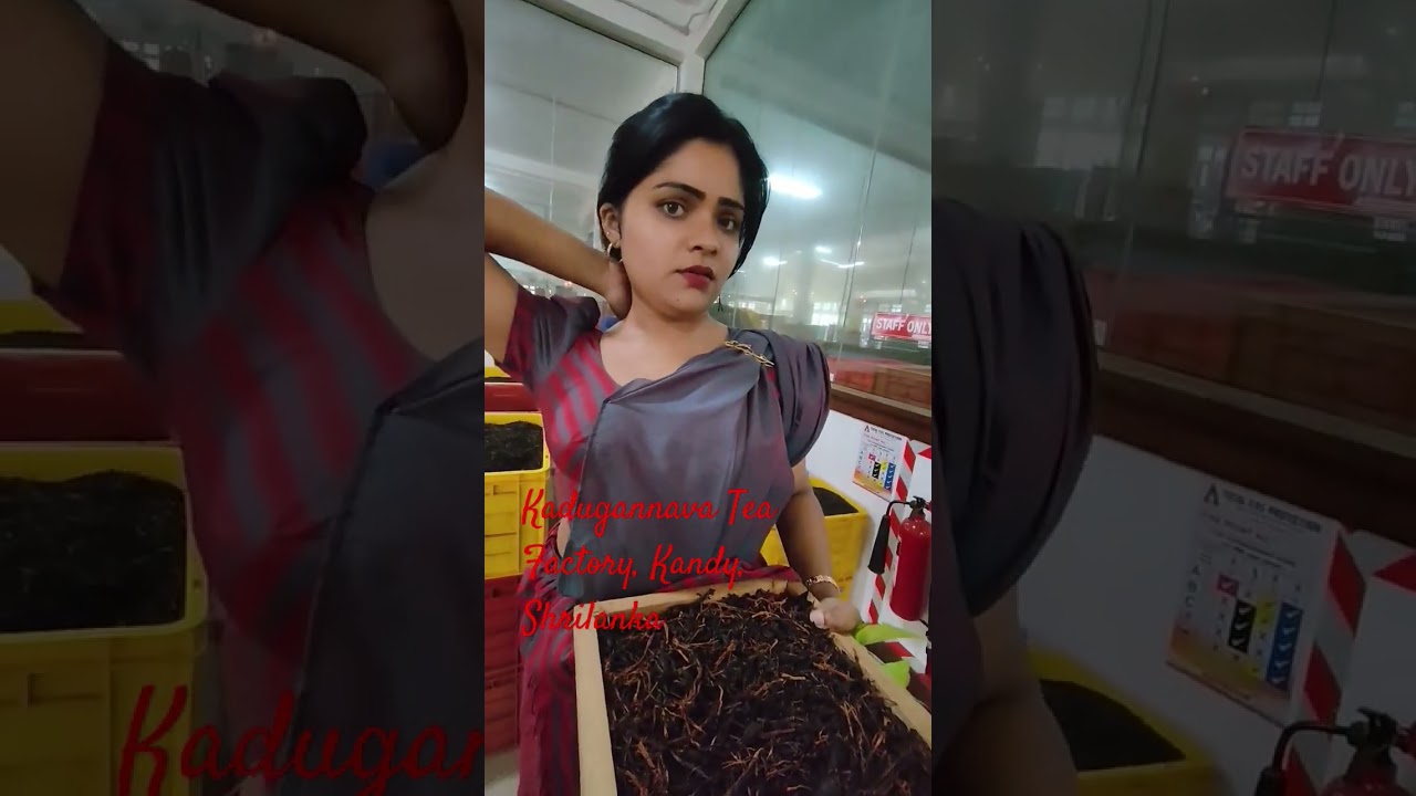 fully operational tea factory, Admission and tour are free, .