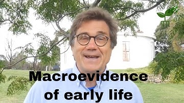 Macroevidence of early life | Introduction to Earth systems | meriSTEM