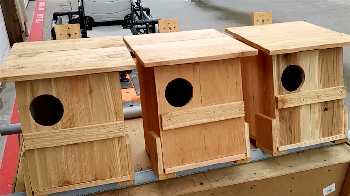 Your owl house!!  tips and facts