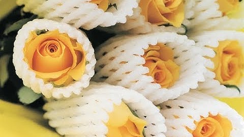 EPE foam net machine protection net extrusion machine