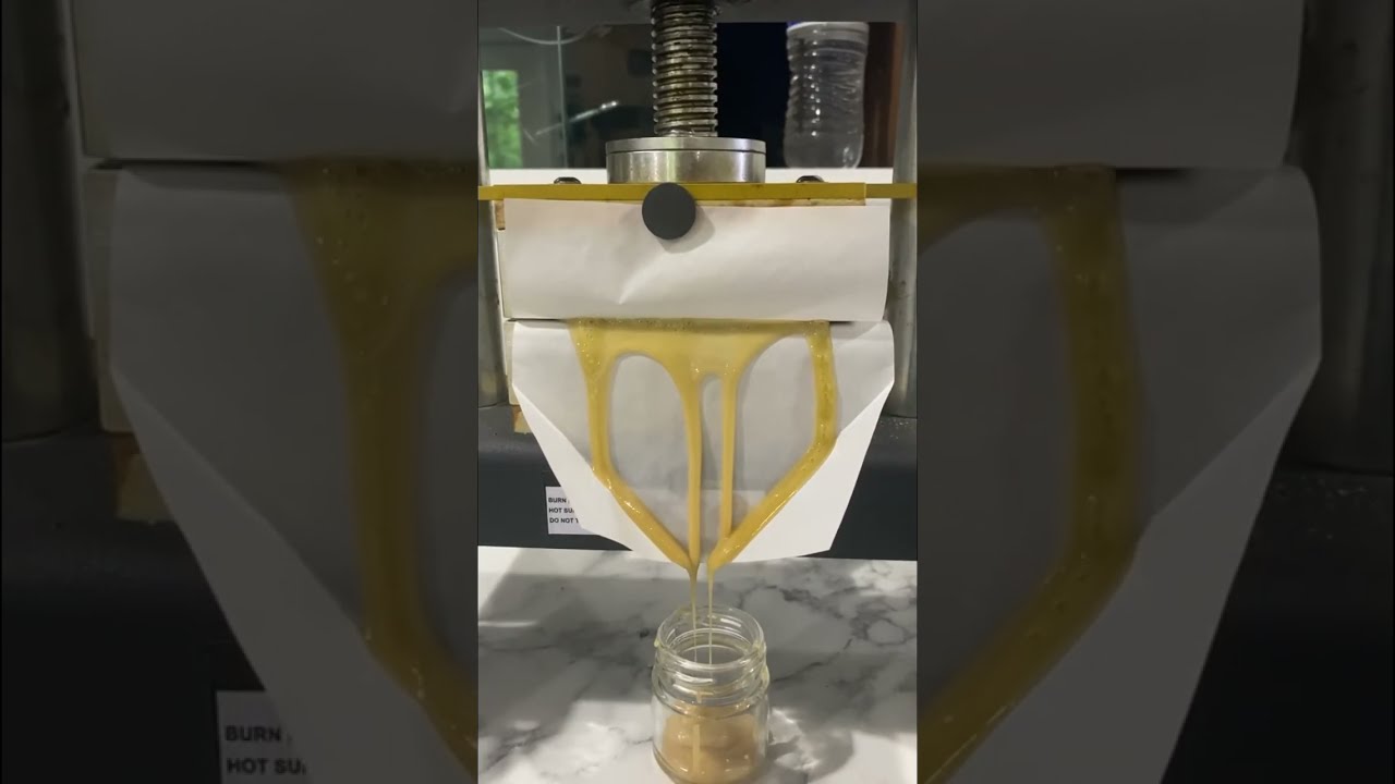 Live Hash Rosin Fresh Press Unknown Strains