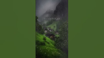 من سورة نوح القارئ خالد البلوشي #قرآن #اكسبلور #راحة_نفسية #دعاء #اسلام_صبحي