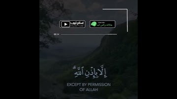 ما أصاب من مصيبة إلا بإذن اللّه | حالات واتس اب قرآن الكريم