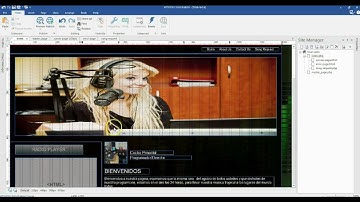 Overview of a Simple site built with WYSIWYG Web Builder