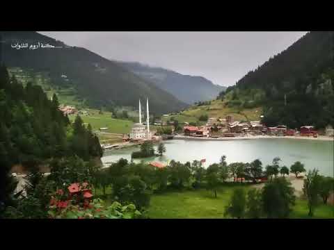 سورة النمل من الآية  16 بصوت اسلام صبحي صوت هادئ للنوم  #quran