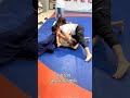 Unleash Your Inner Champion: Mixed-Gender Wrestling Fights