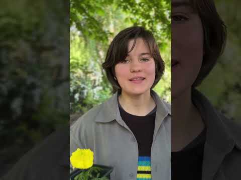 Семена будущего: рассада, которая изменит ваш мир!