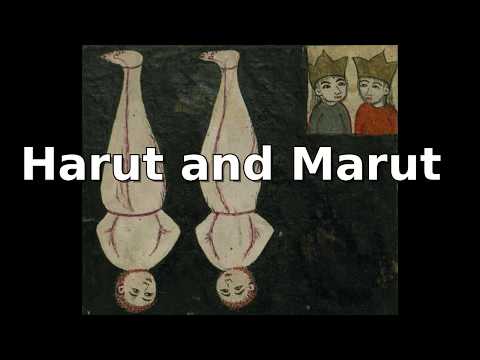 Video: Wat Is Haurvat