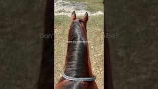 Download Lagu I don't like it as must as th first one I made💗 MP3