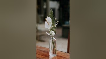 Via Destination Weddings we create unforgettable experiences in Cancun Mexico and Riviera Maya