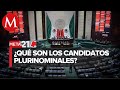 Qu son y por qu tienes que votar por los diputados plurinominales