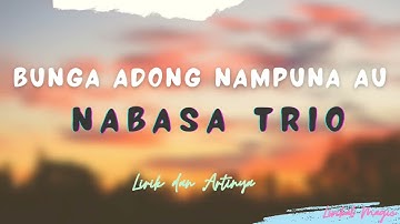 Lirik Lagu Batak dan Artinya Nunga Adong Nampuna Au - Nabasa Trio | Lagu Batak Populer