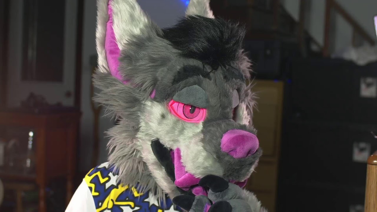 That 360 Furry Live Stream idk man